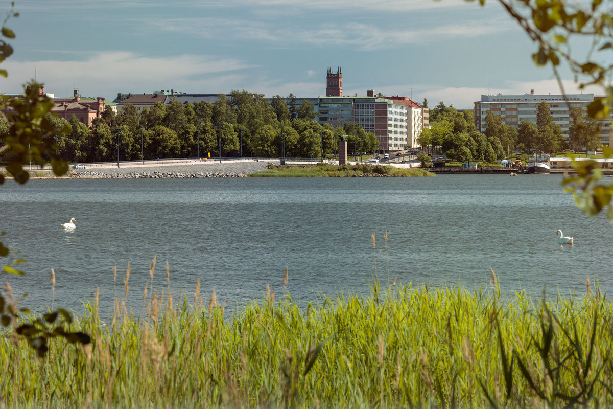 Vaasa kuvattuna Vaskiluodosta päin. Vettä, kaislaa, kaksi joutsenta, kerrostaloja ja Vaasan kirkon torni.