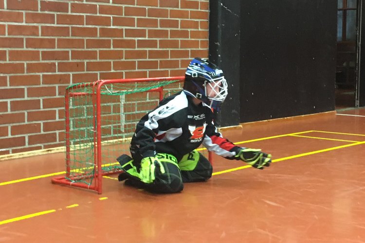 Sählymaalivahti
